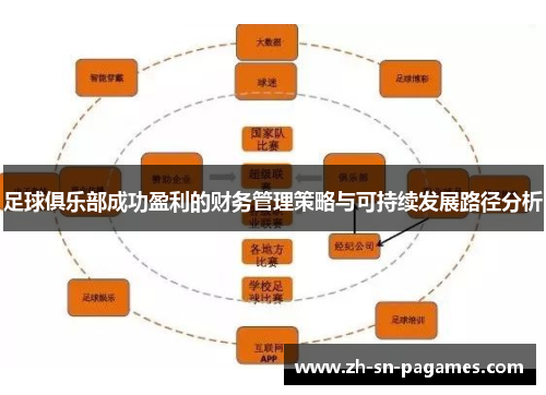 足球俱乐部成功盈利的财务管理策略与可持续发展路径分析