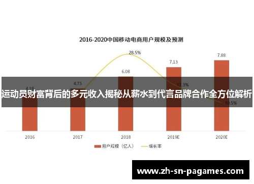 运动员财富背后的多元收入揭秘从薪水到代言品牌合作全方位解析