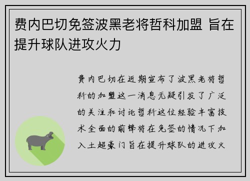费内巴切免签波黑老将哲科加盟 旨在提升球队进攻火力 费内巴切免签波黑老将哲科加盟 旨在提升球队进攻火力